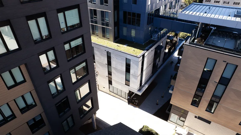 The Standard — photo 6